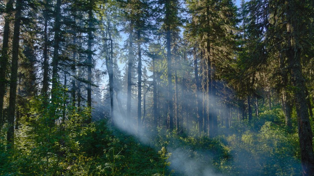 Photograph by Андрей Лебедев