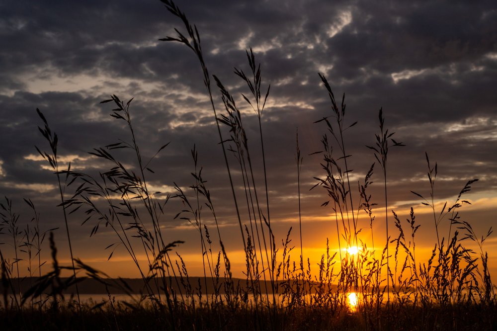 Photograph by Евгения ГЕССЕН
