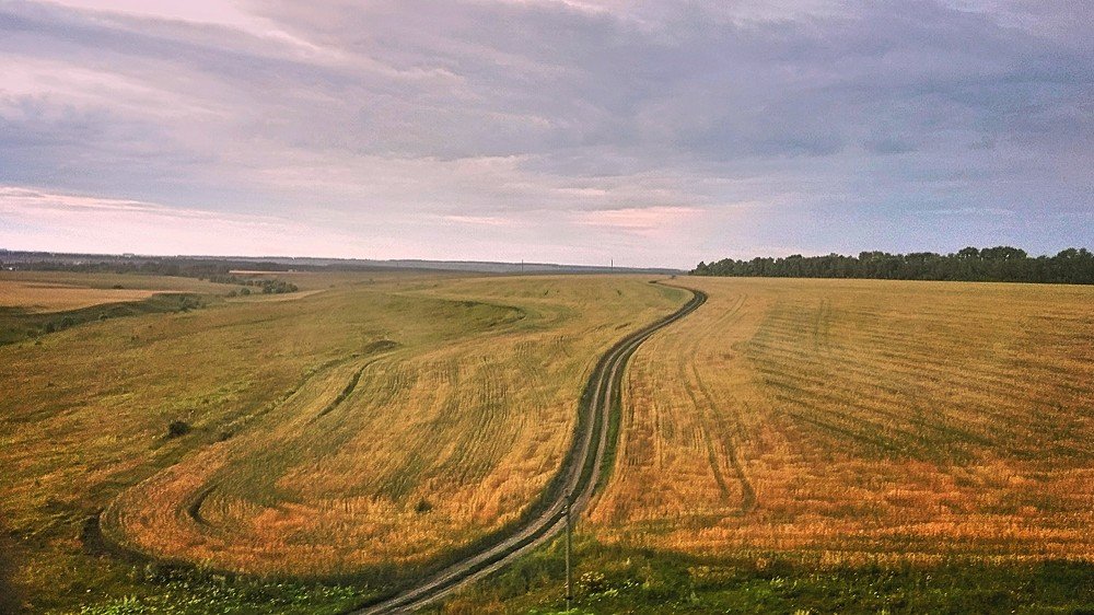 Photograph by Ирина Корнева