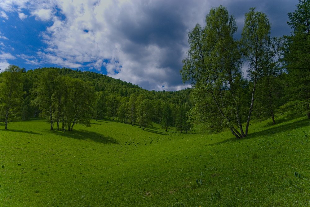 Photograph by Андрей Лебедев