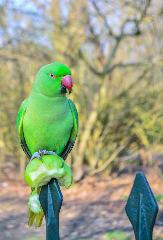 Photograph by Сергей Глухарев