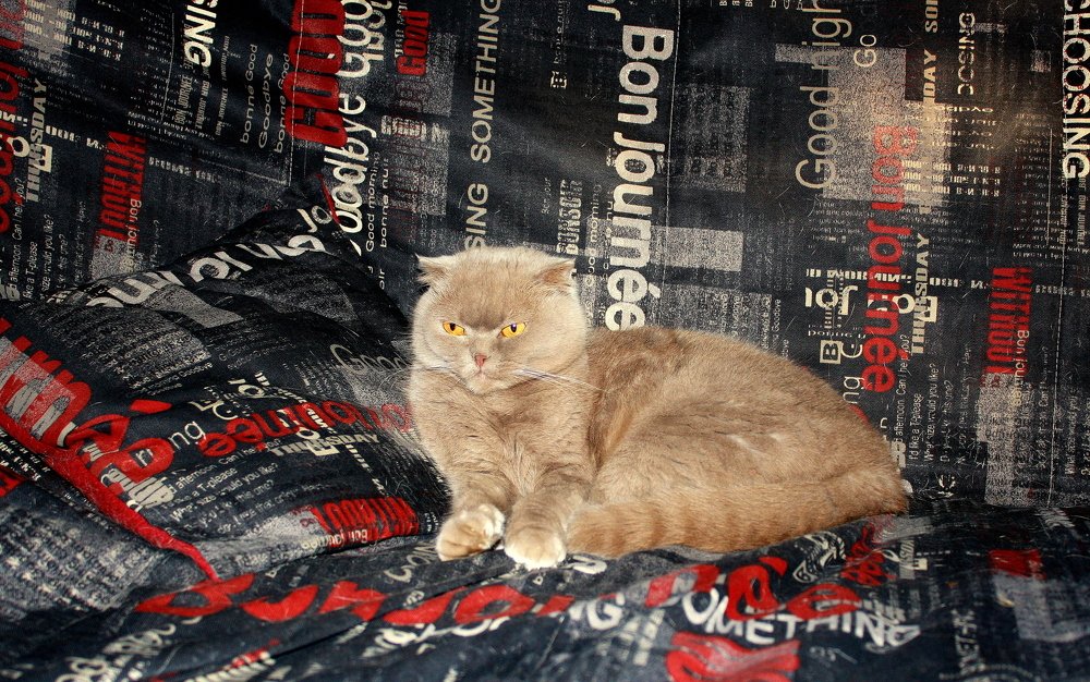 Что-то приснилось...