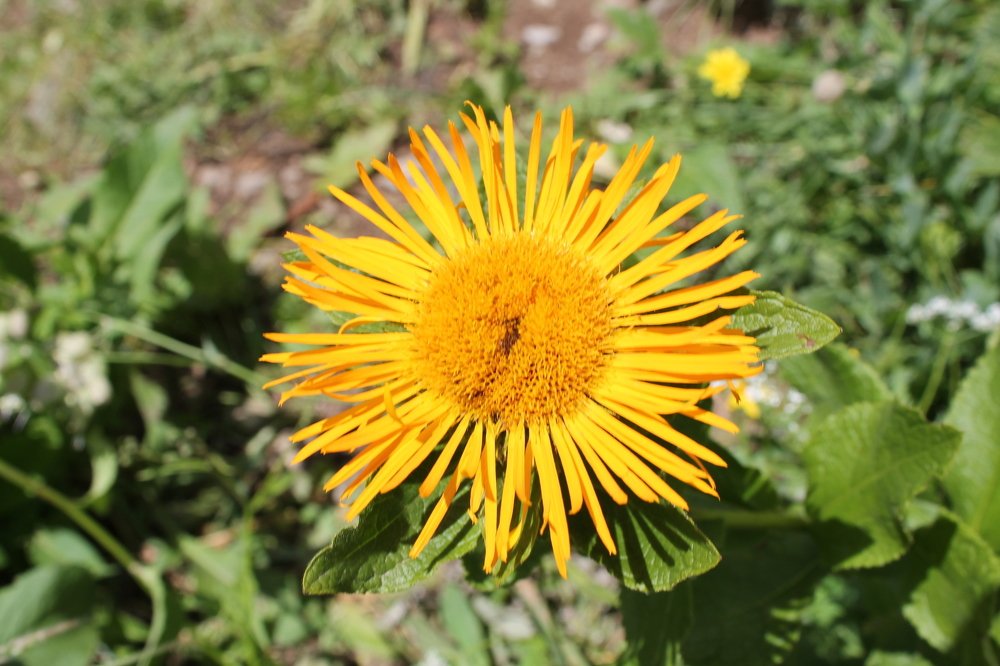 Photograph by Ирина Поваляева