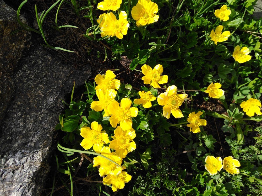 Photograph by Ирина Поваляева