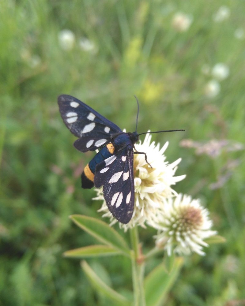 Photograph by Ирина Поваляева