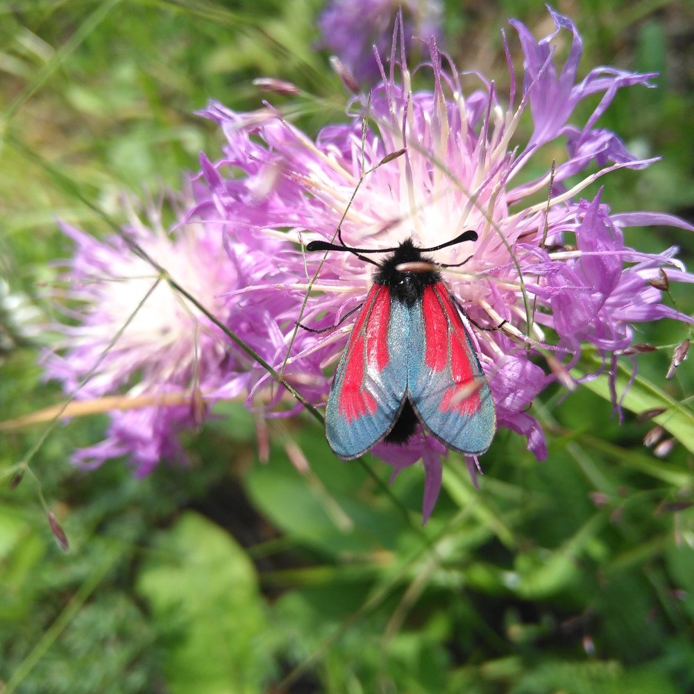 Photograph by Ирина Поваляева