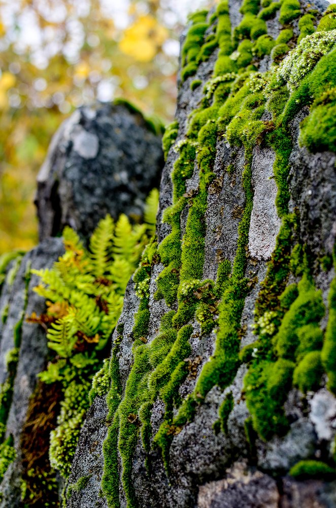 Photograph by Сергей Глухарев