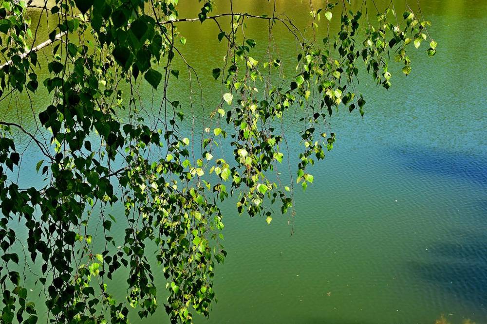 Photograph by Alexey Smal