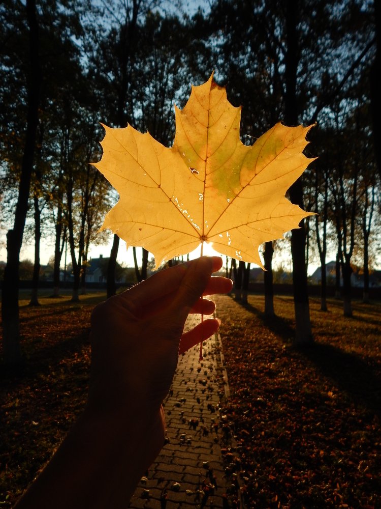 Привет осени