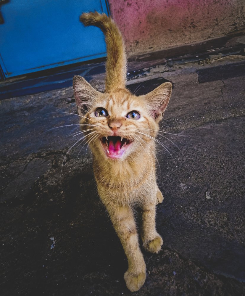 Photograph by Kunal K-on