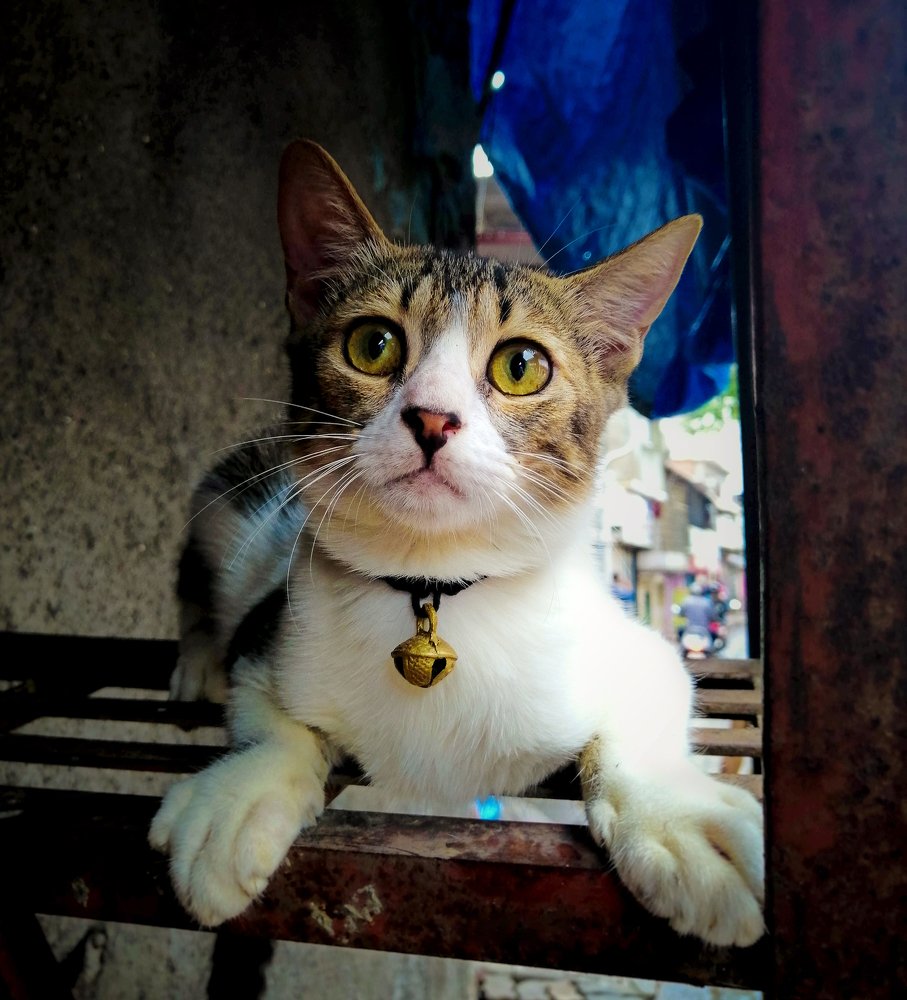 Photograph by Kunal K-on