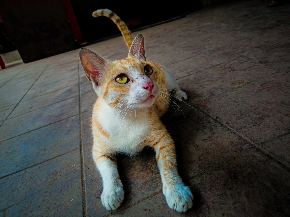 Photograph by Kunal K-on