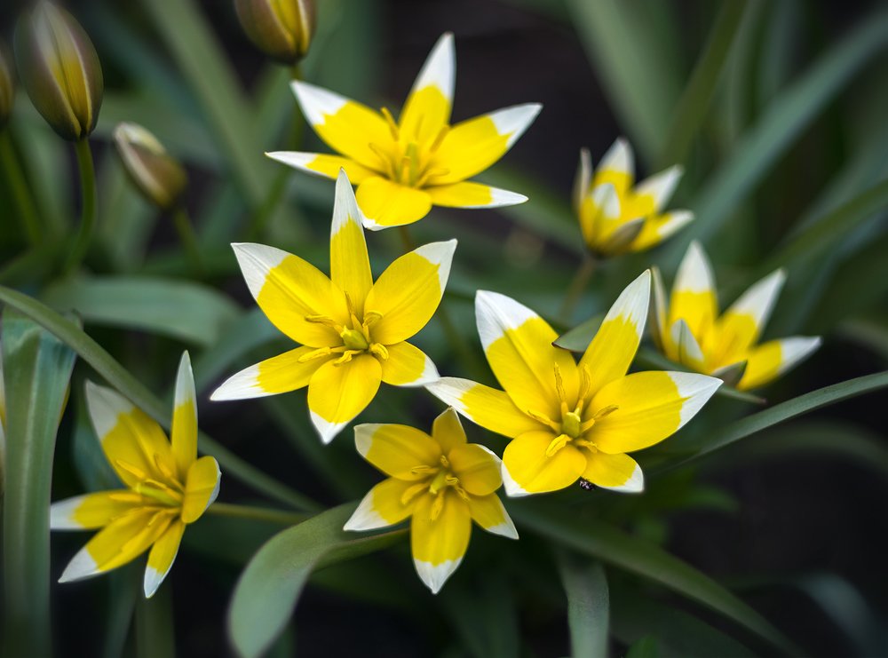 Photograph by Никанорова Ольга