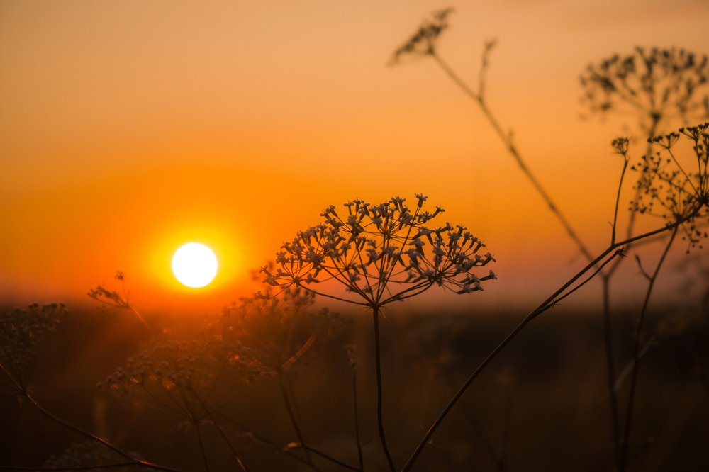 Photograph by Пельтихин Денис