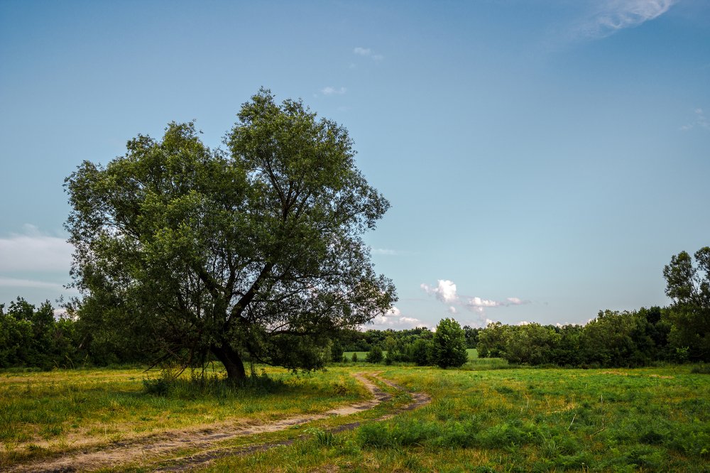 Photograph by Пельтихин Денис