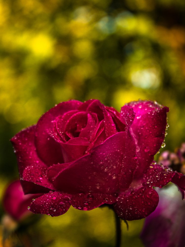 Photograph by Пельтихин Денис