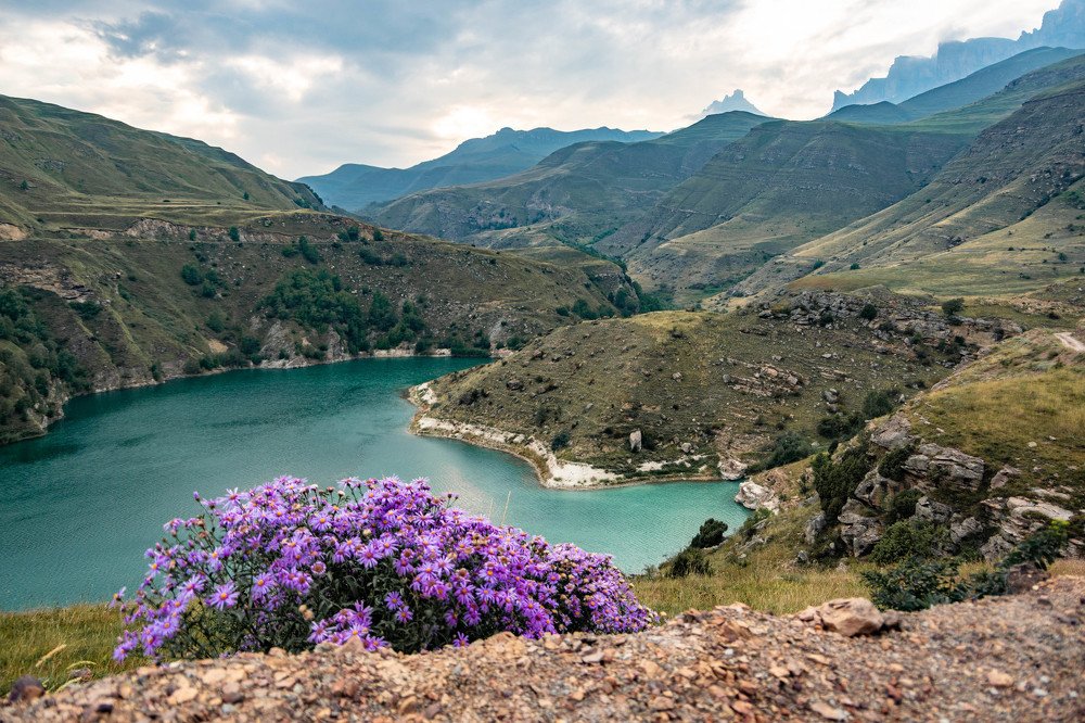 Photograph by Людмила Шафрай