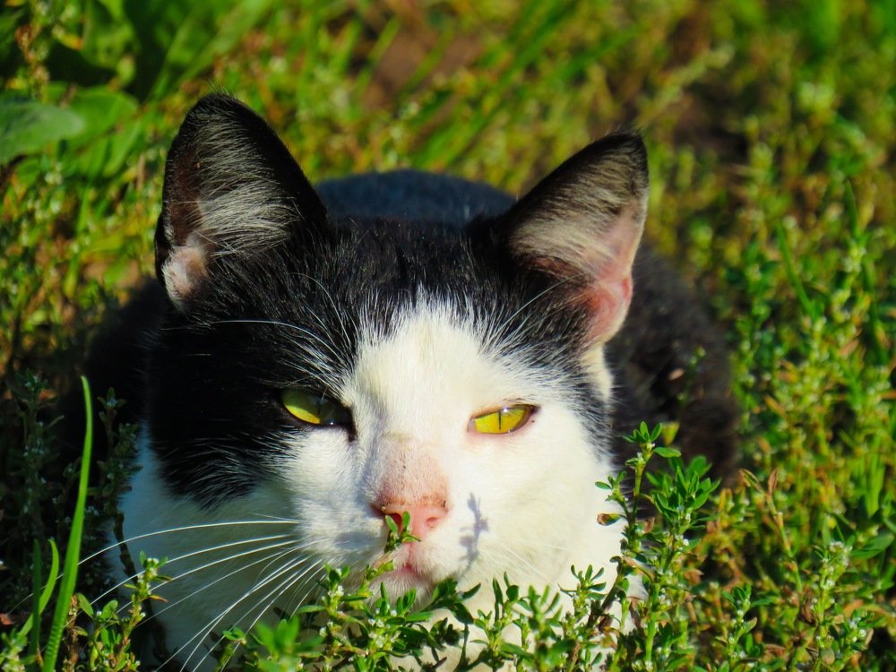 Photograph by Анастасия Романова