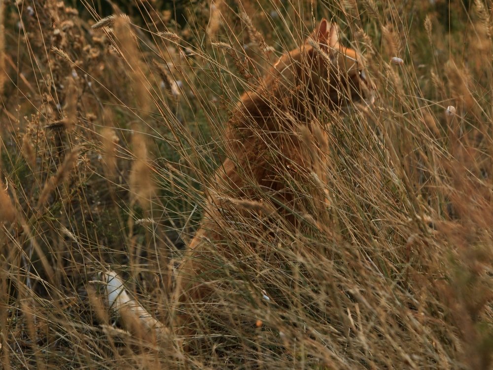 Photograph by Игорь Куленко