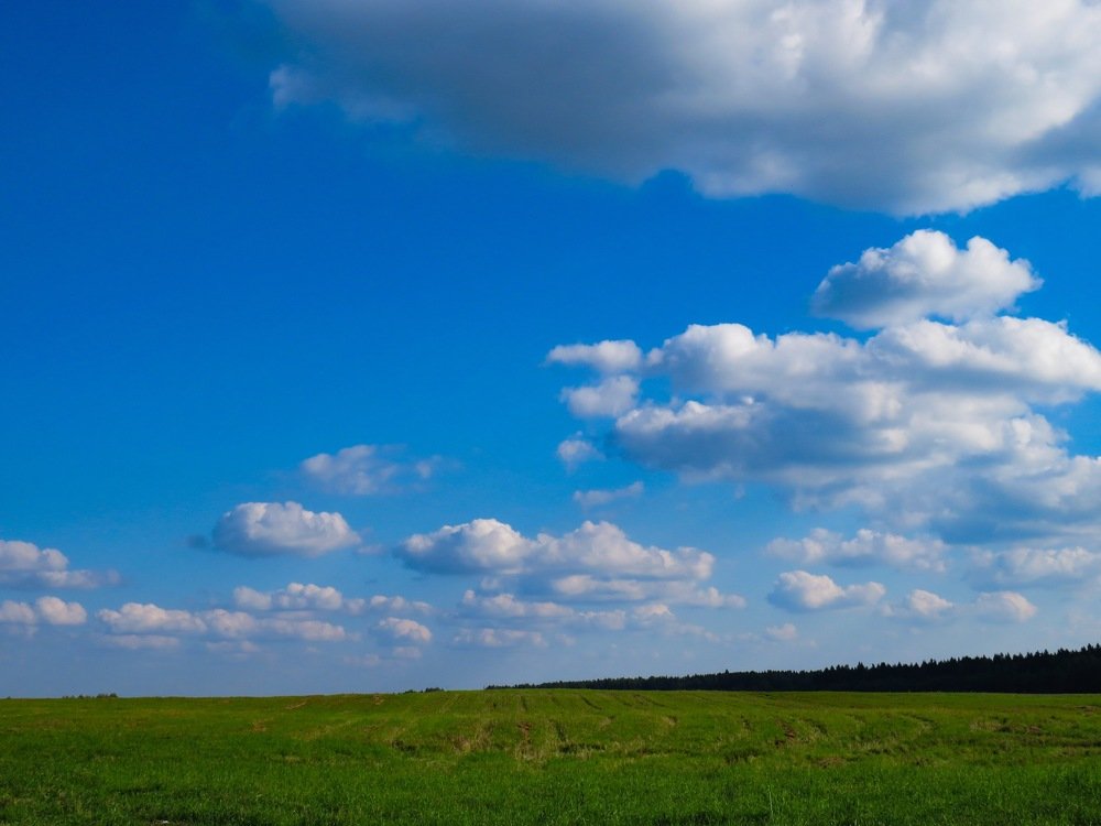 Photograph by Анастасия Романова