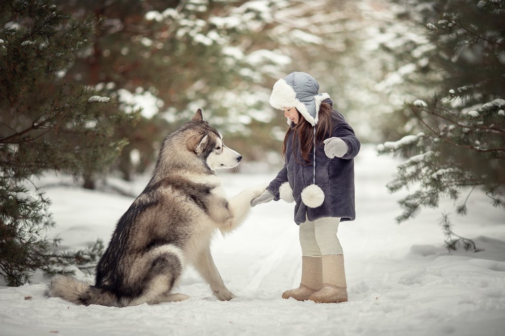 Photograph by Татьяна Гурова