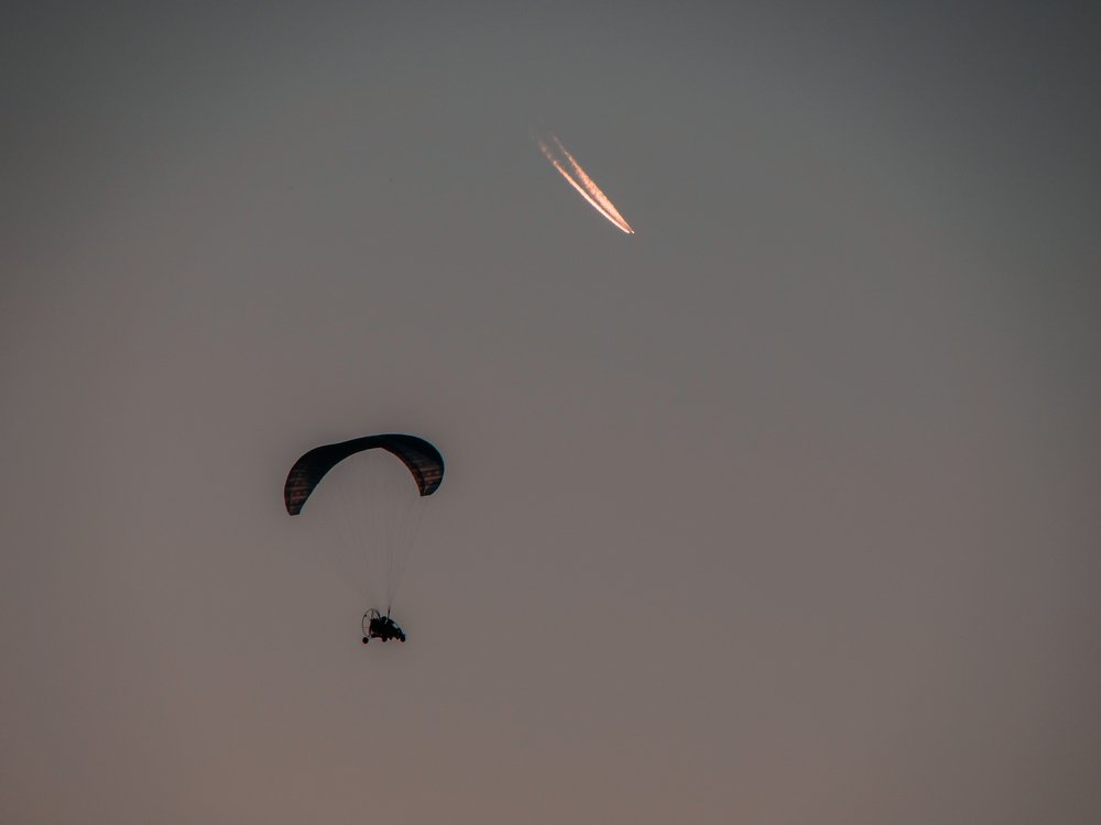 Photo #3560402