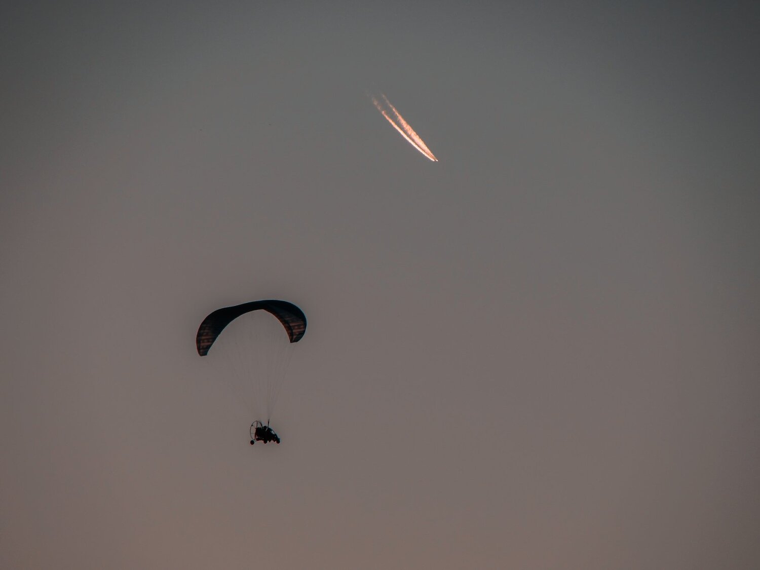 Photo #3560402