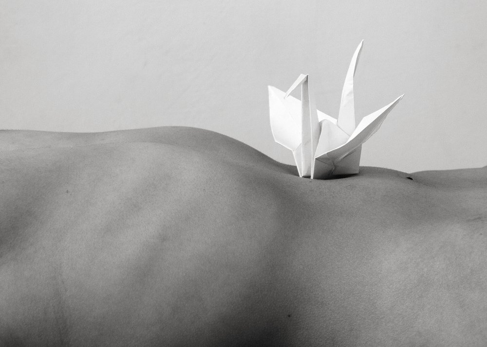 Photograph by Wojciech Grzegorczyk