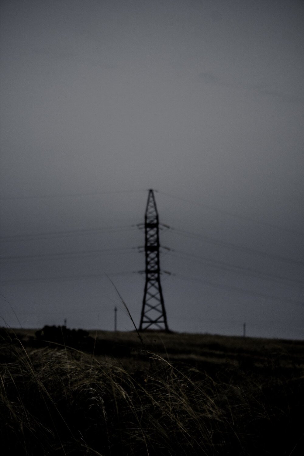 Photo #3560448