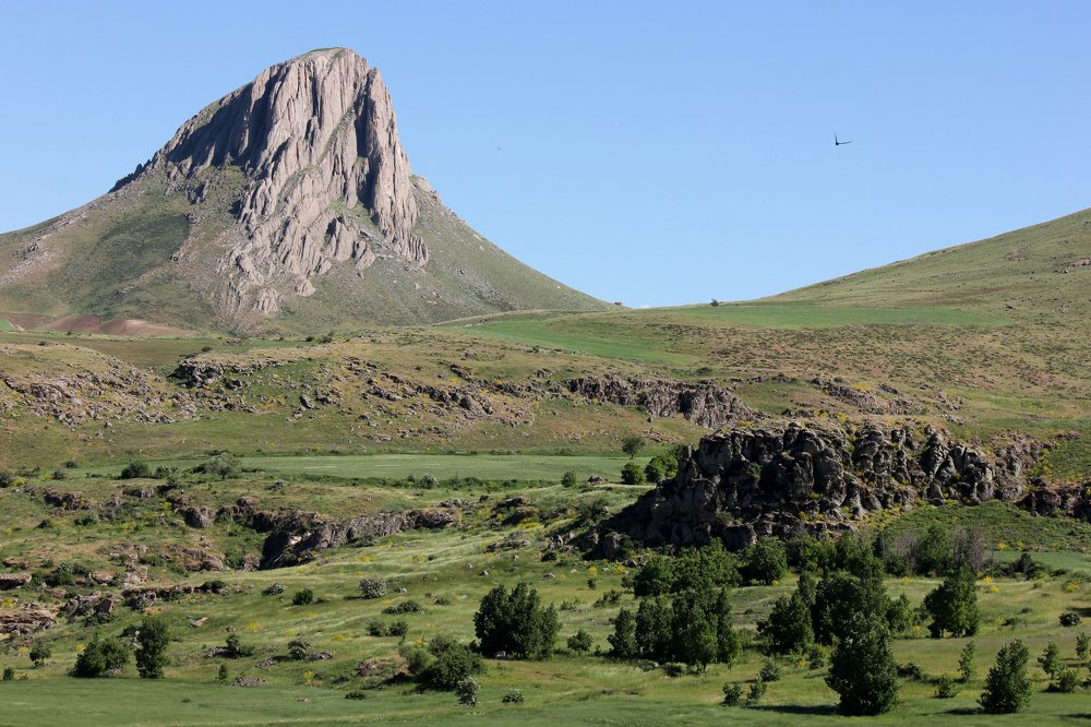 Photograph by saeed javanbakht