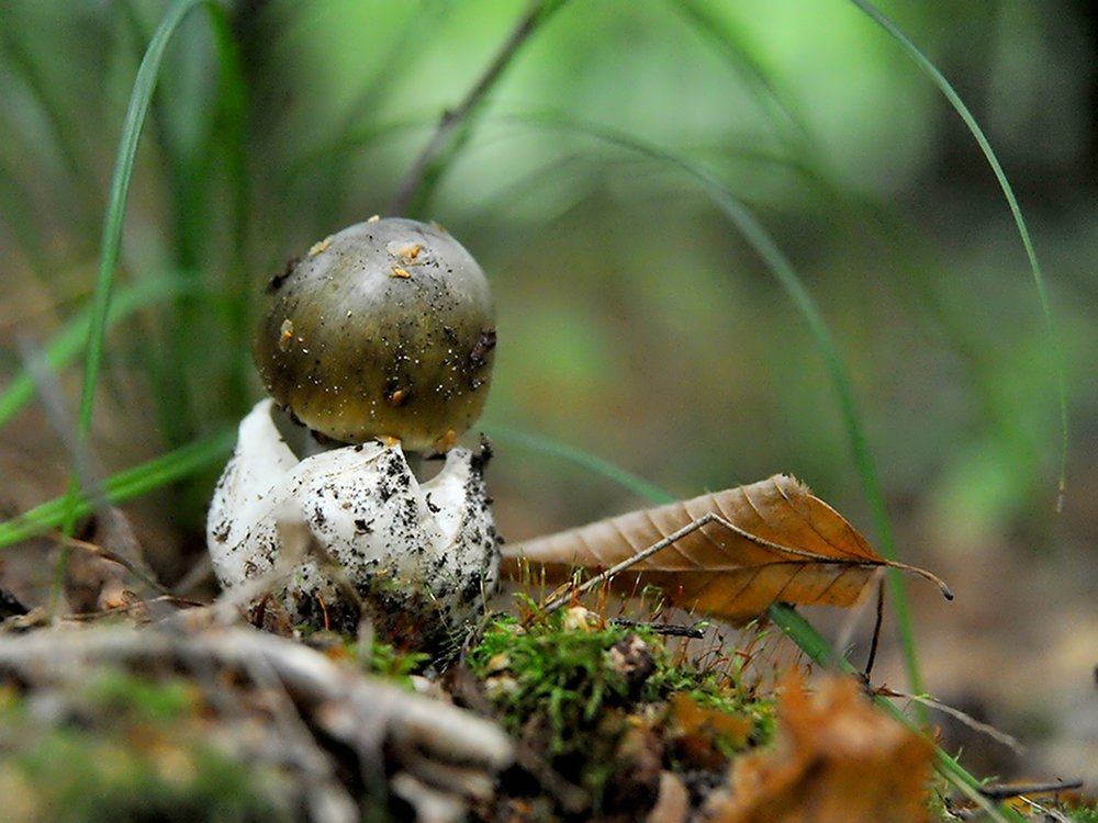 Photograph by Анатолий Погорелов