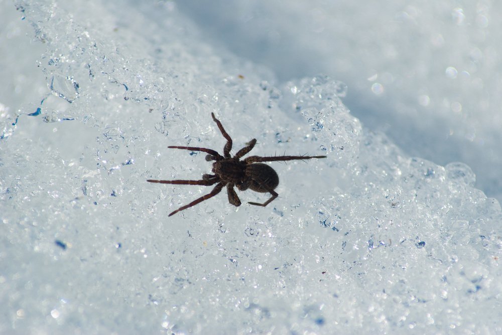 Photograph by Денис Кичев