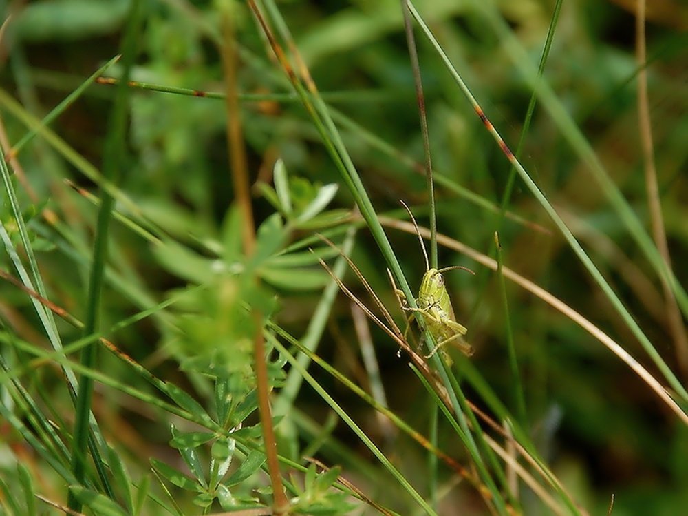 Photograph by Анатолий Погорелов