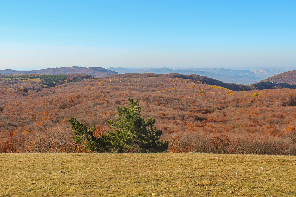 в объятиях осени