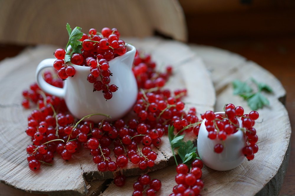 Фотография автора Ирина Зайцева
