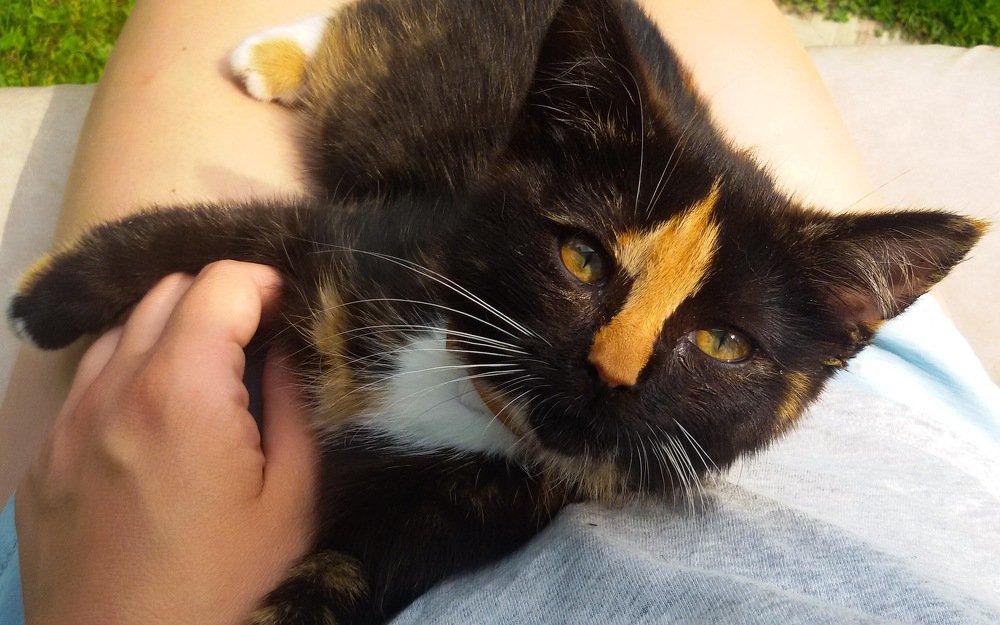 Photograph by Анастасия Романова