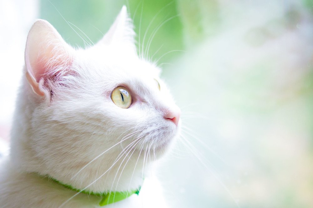 Photograph by Мария Соколова