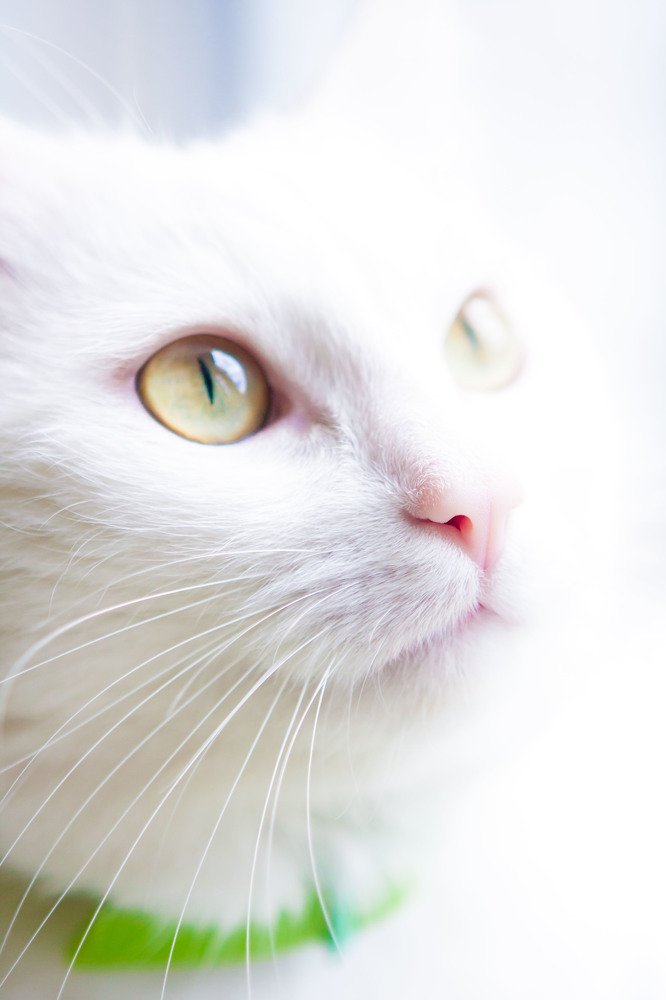 Photograph by Мария Соколова