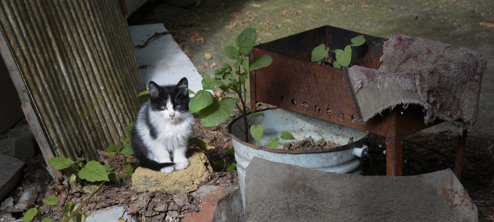 Photograph by Ирина Мозговая