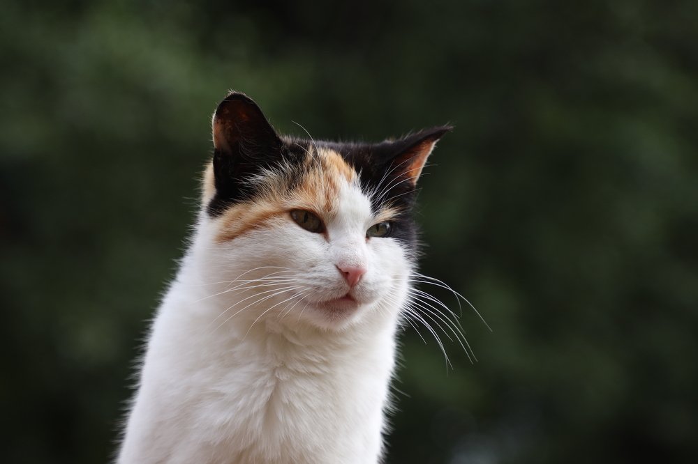 Photograph by Olga Oginskaya