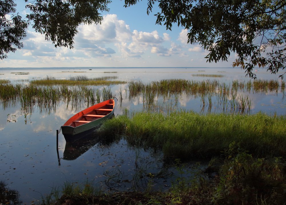 Фотография автора modus2000