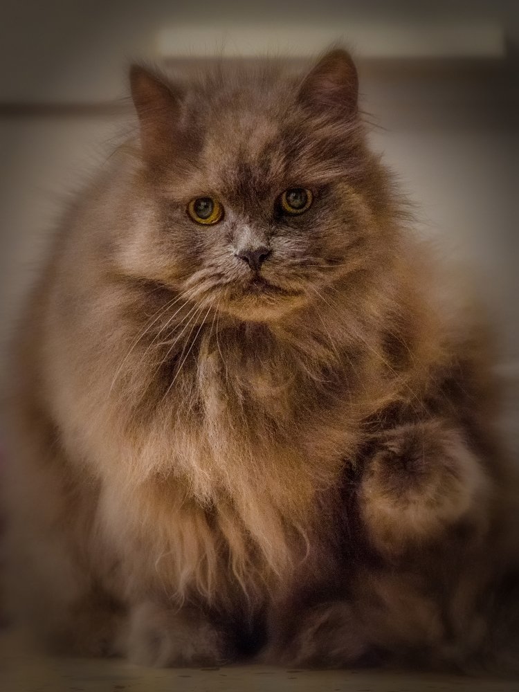 Photograph by Boris Kanevsky