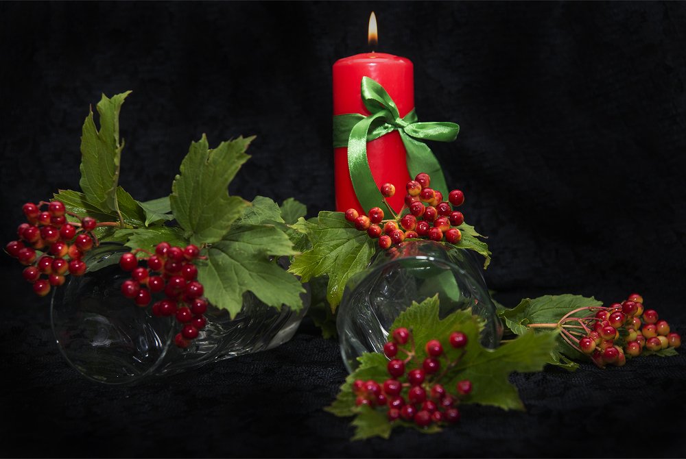 Натюрморт с калиной.