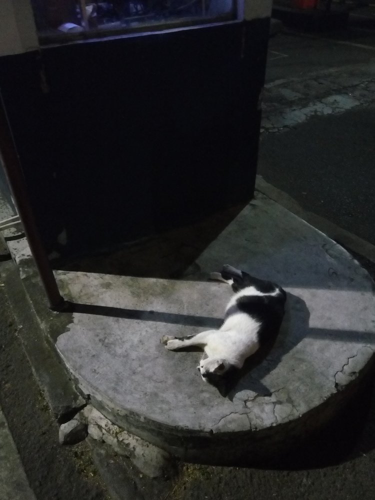 Photograph by @mashurphoto