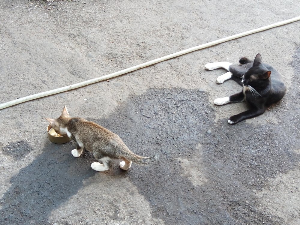 Photograph by @mashurphoto