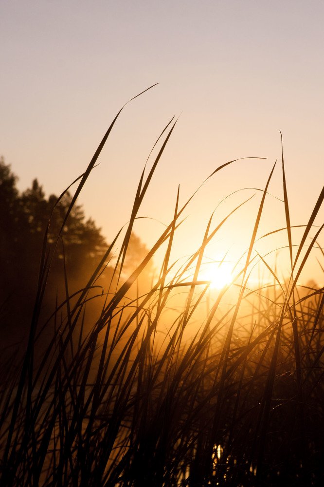 Photograph by Мария Соколова