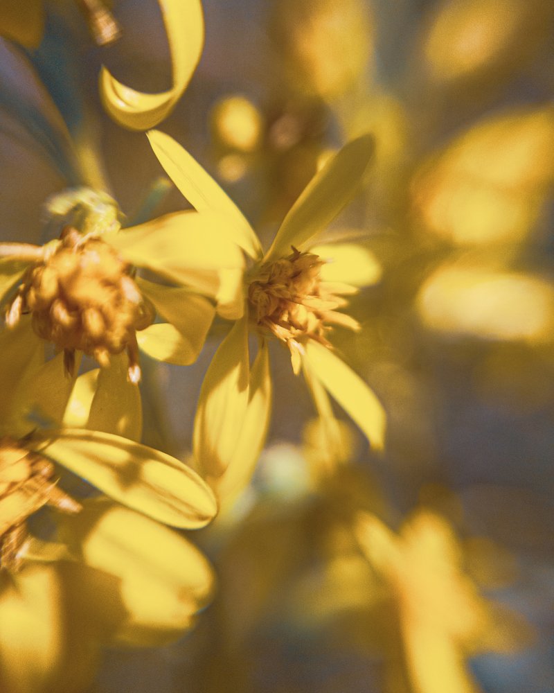 Photograph by Евгений Журихин