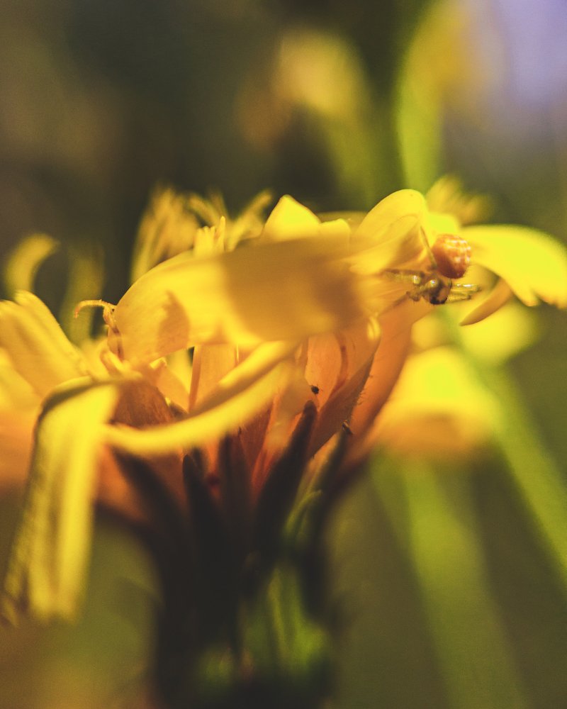 Photograph by Евгений Журихин