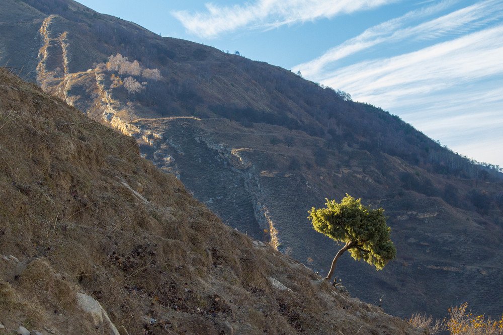 Одиночество