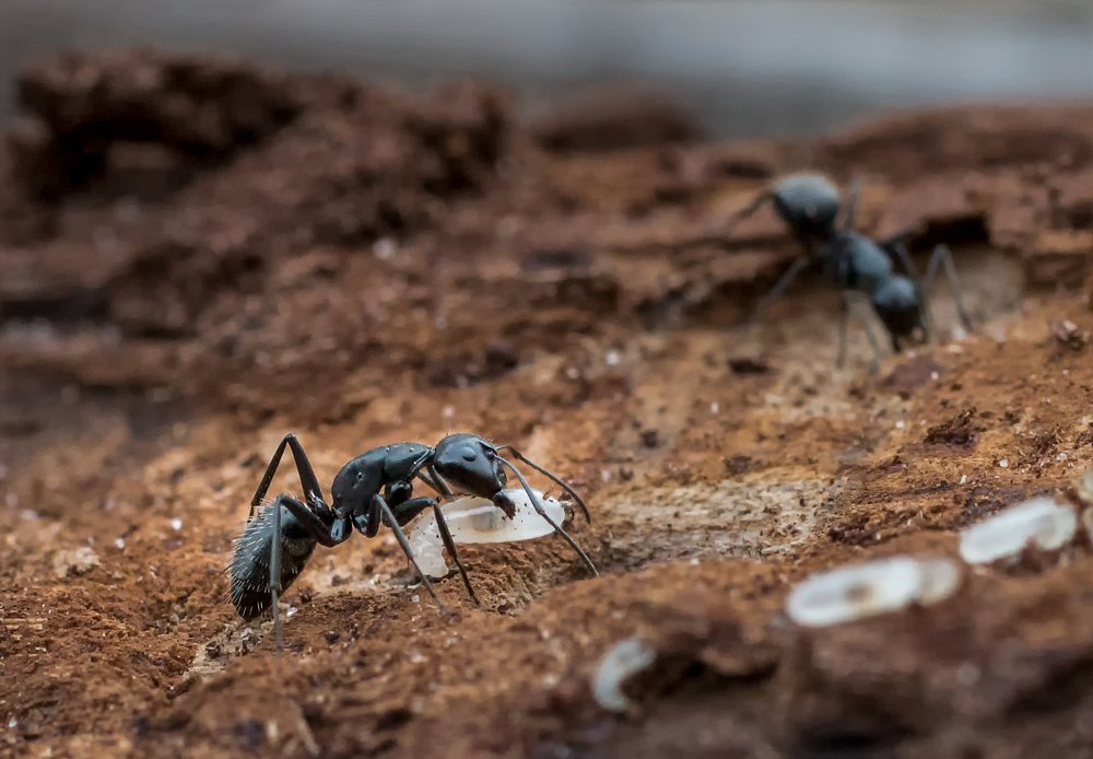 Photograph by олег кирюшкин